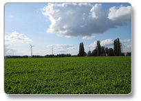 オランダ国境に近いニーダーライン地方の田園風景。